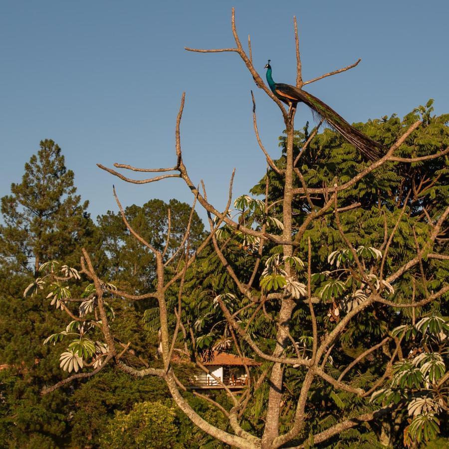 Villa Fazenda Capoava Itu Exterior foto
